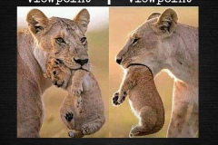 139452345_2015050648646664_1202870565270170075_n